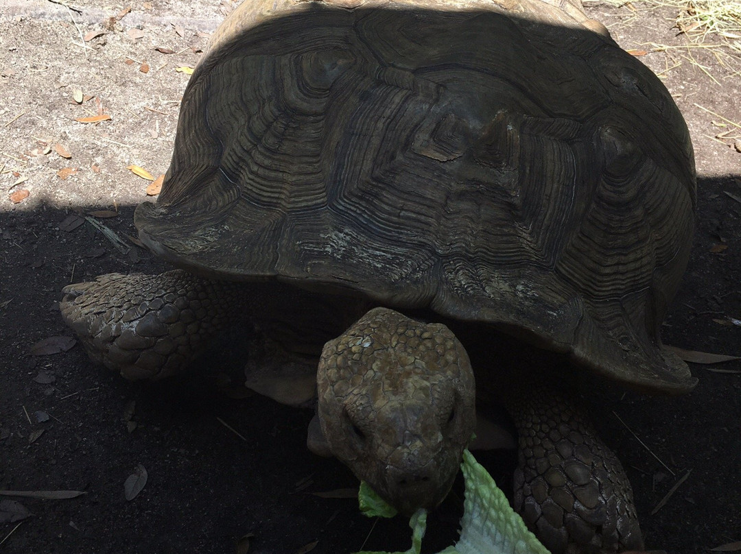 Smooth Waters Wildlife Park-De Leon Springs必去景点