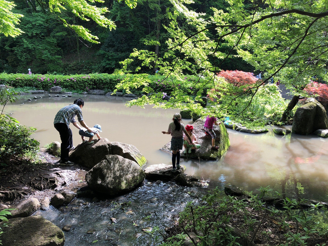 Higashitakane Forestry Park景点图片