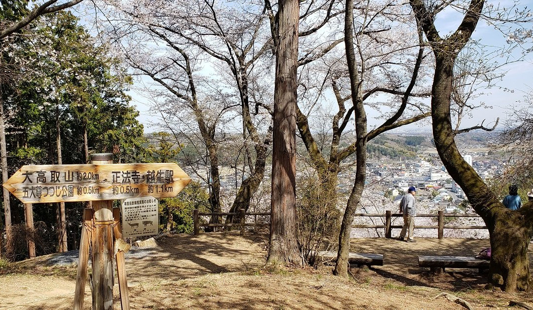 Sakuranoyama Park-越生町必去景点