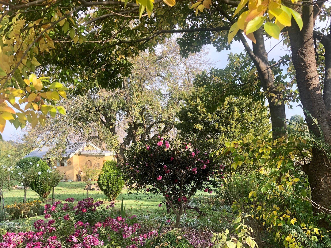 Laventaba Guest House主图