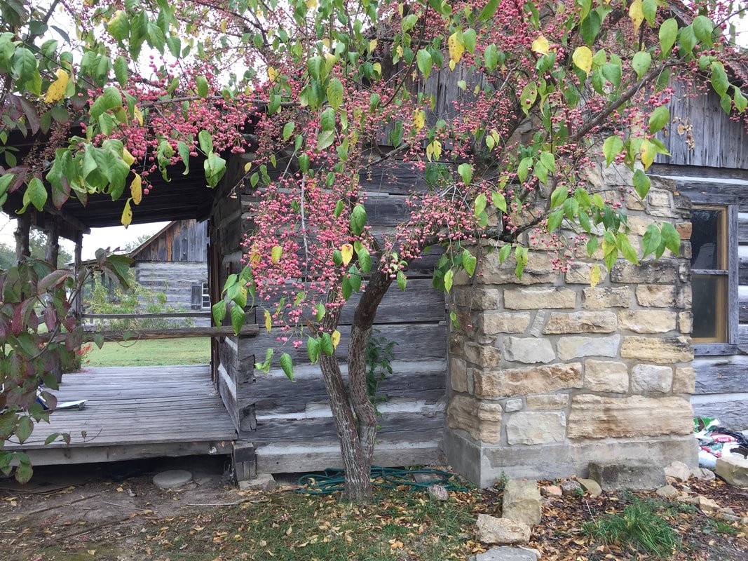 Cooper Park-芒廷霍姆必去景点
