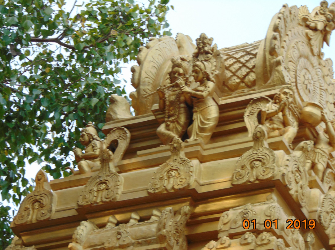 Sri Venugopala Swamy Temple景点图片