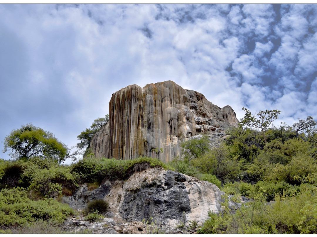 Zapotecos Tours景点图片