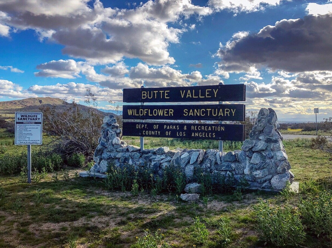 Butte Valley Wildflower Sanctuary-兰开斯特必去景点