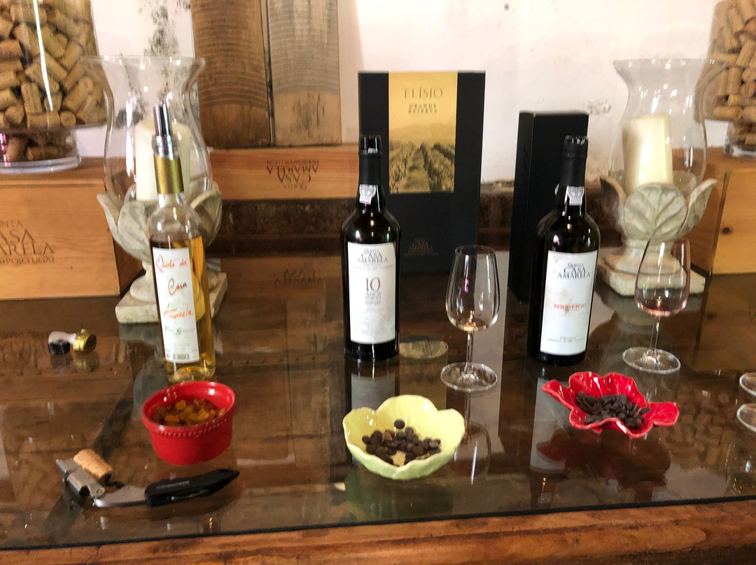 Quinta da Casa Amarela景点图片