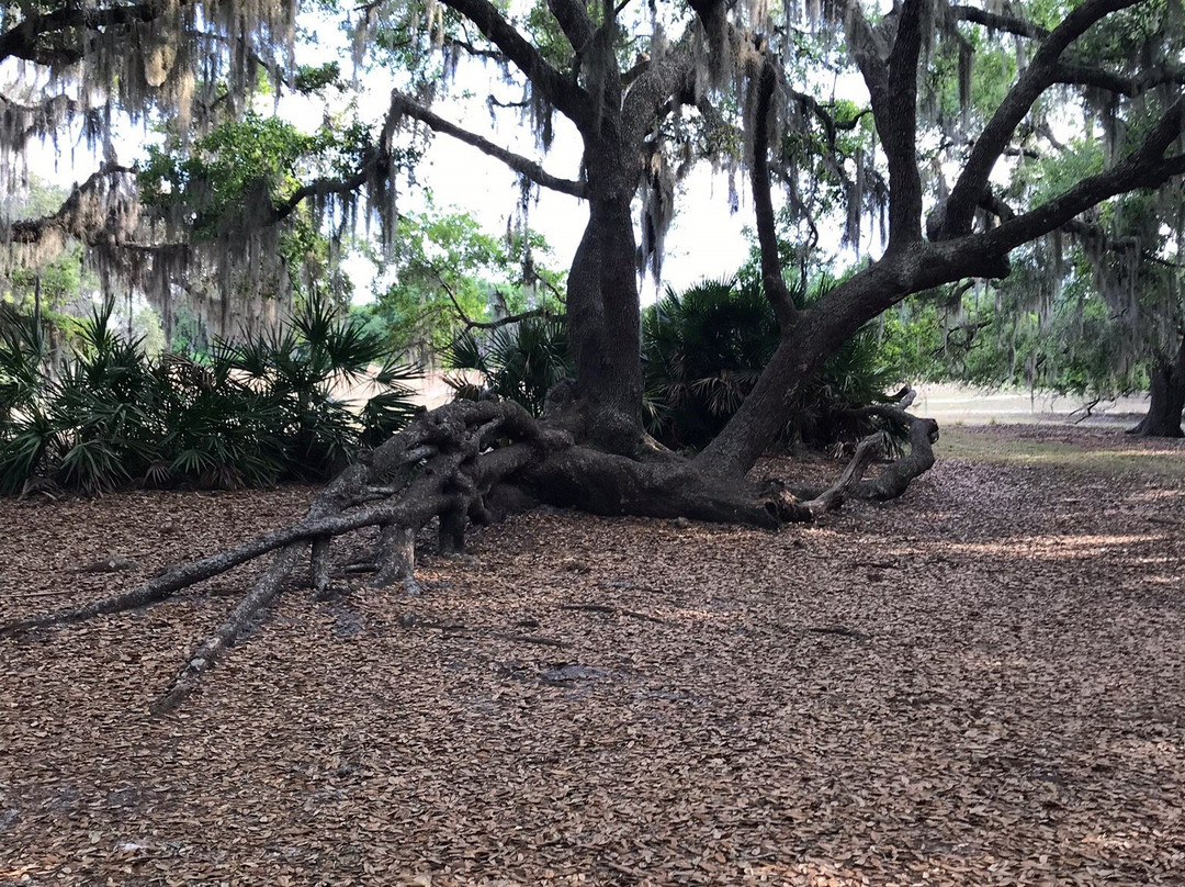 Lake Kissimmee State Park-莱克威尔士必去景点