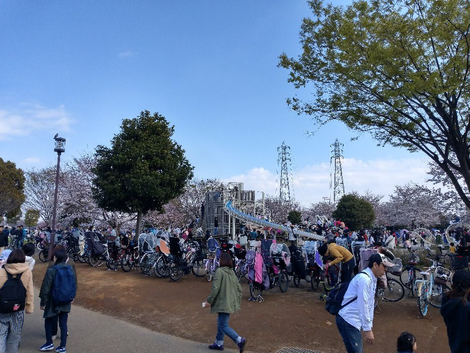 Ojima Komatsugawa Park景点图片