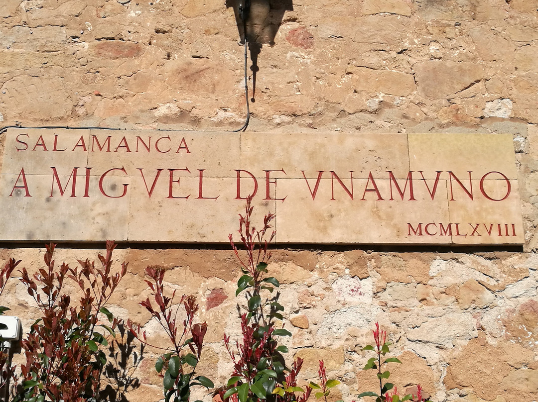 Monumento a Miguel de Unamuno-萨拉曼卡必去景点