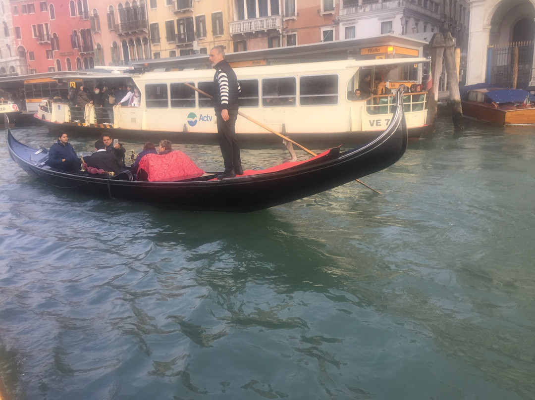 Msn Apartments Venice