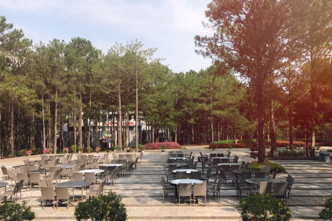 Dalat Motorbike Tours-大勒必去景点