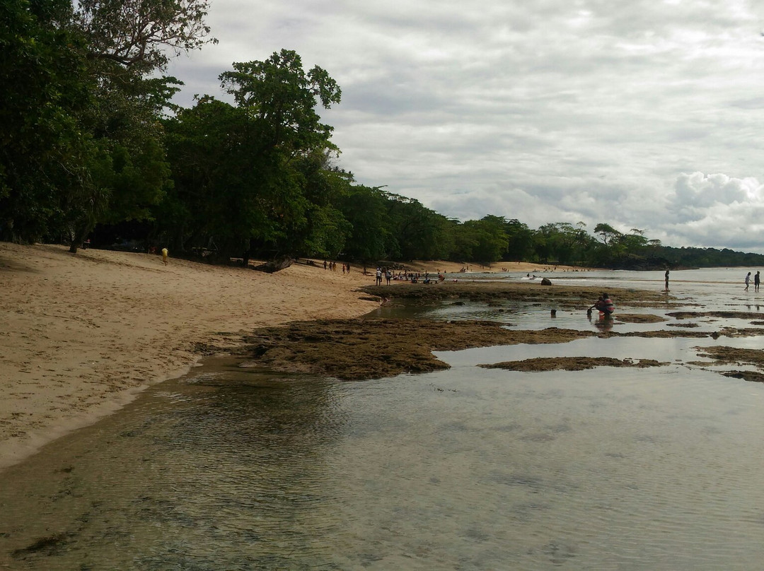 Tanjung Kasuari Beach景点图片