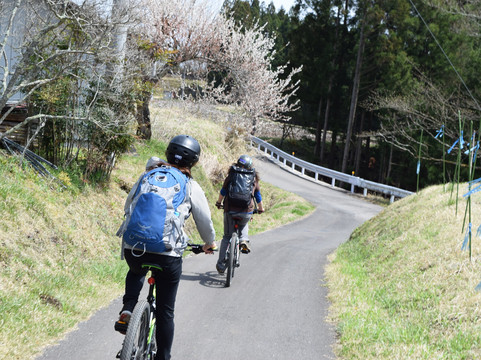 Nikko Base-日光市必去景点