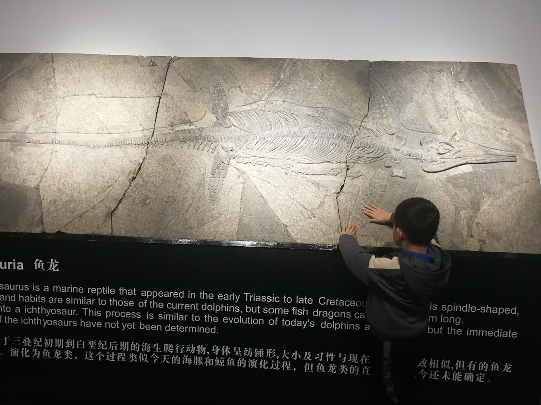 桂林榕湖美术馆-桂林市必去景点