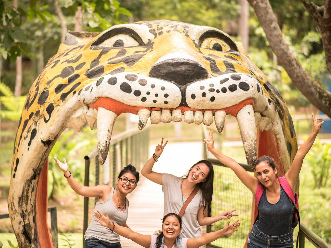 Parque Natural de Pucallpa-Pucallpa必去景点