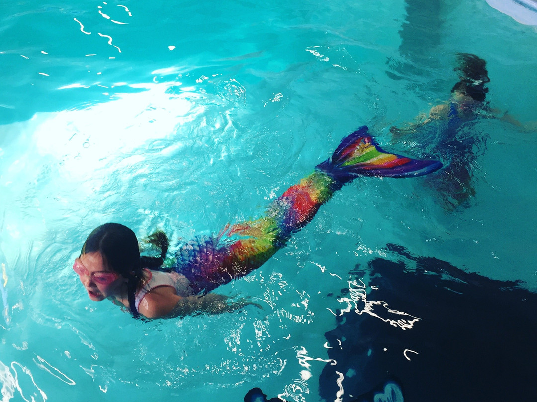 Sussex Mermaid School-Lancing必去景点