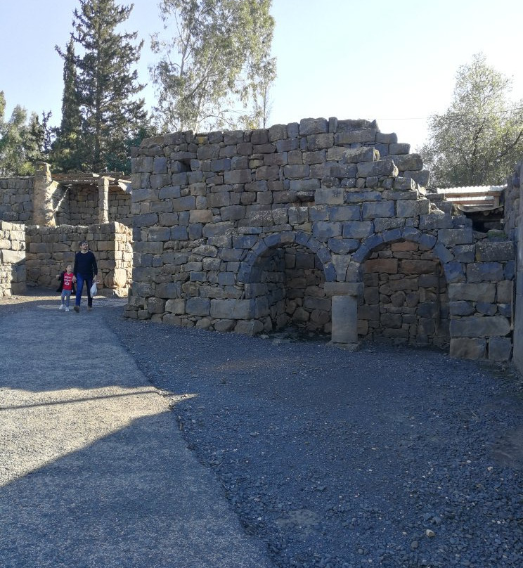Ancient Katzrin Village and Synagogue景点图片