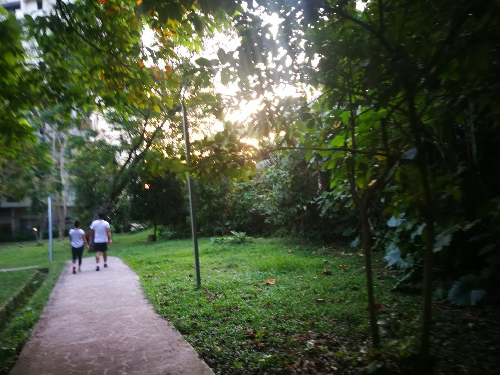 Bukit Kiara Park景点图片
