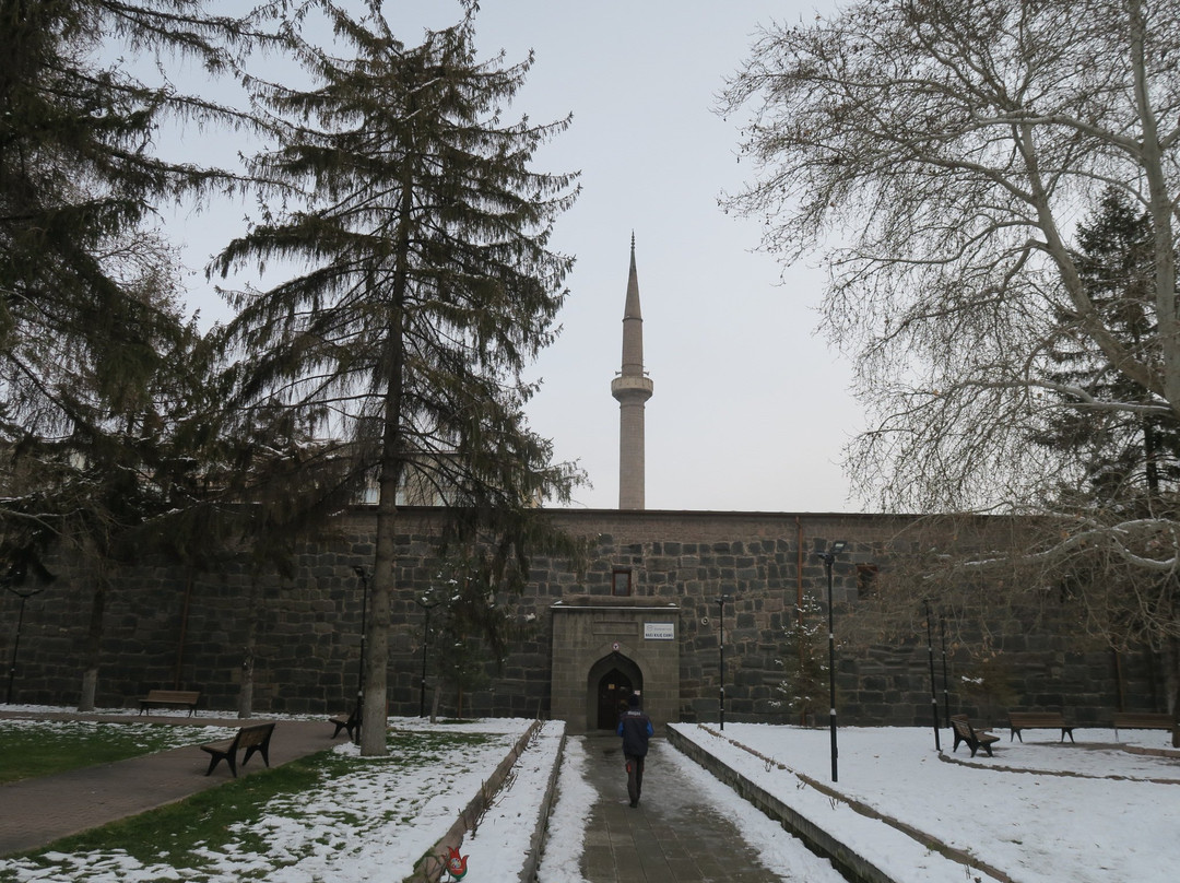 Mimar Sinan Parkı景点图片