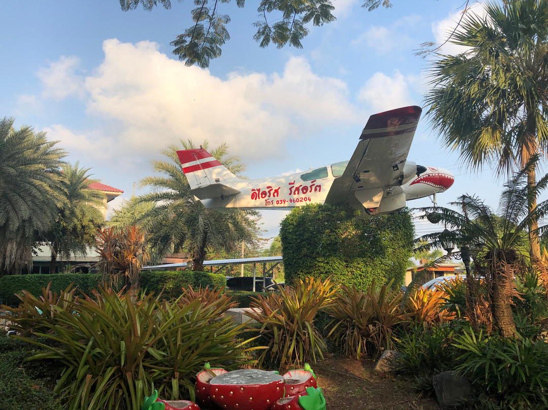 The Iris Resort主图