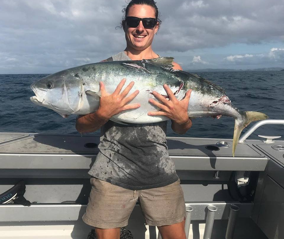 豪拉基湾-奥克兰中心地区必去景点