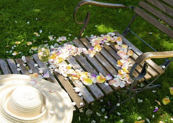 Ringhotel Zum Goldenen Ochsen主图