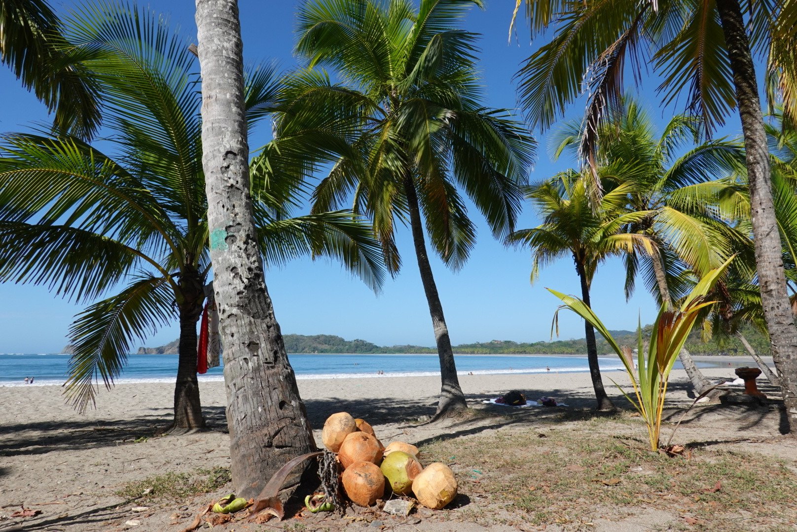Nammbu Beachfront Bungalows-泳池