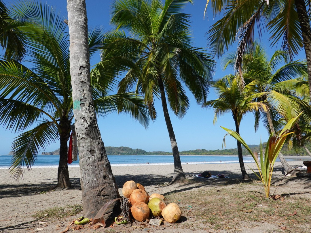 Nammbu Beachfront Bungalows主图