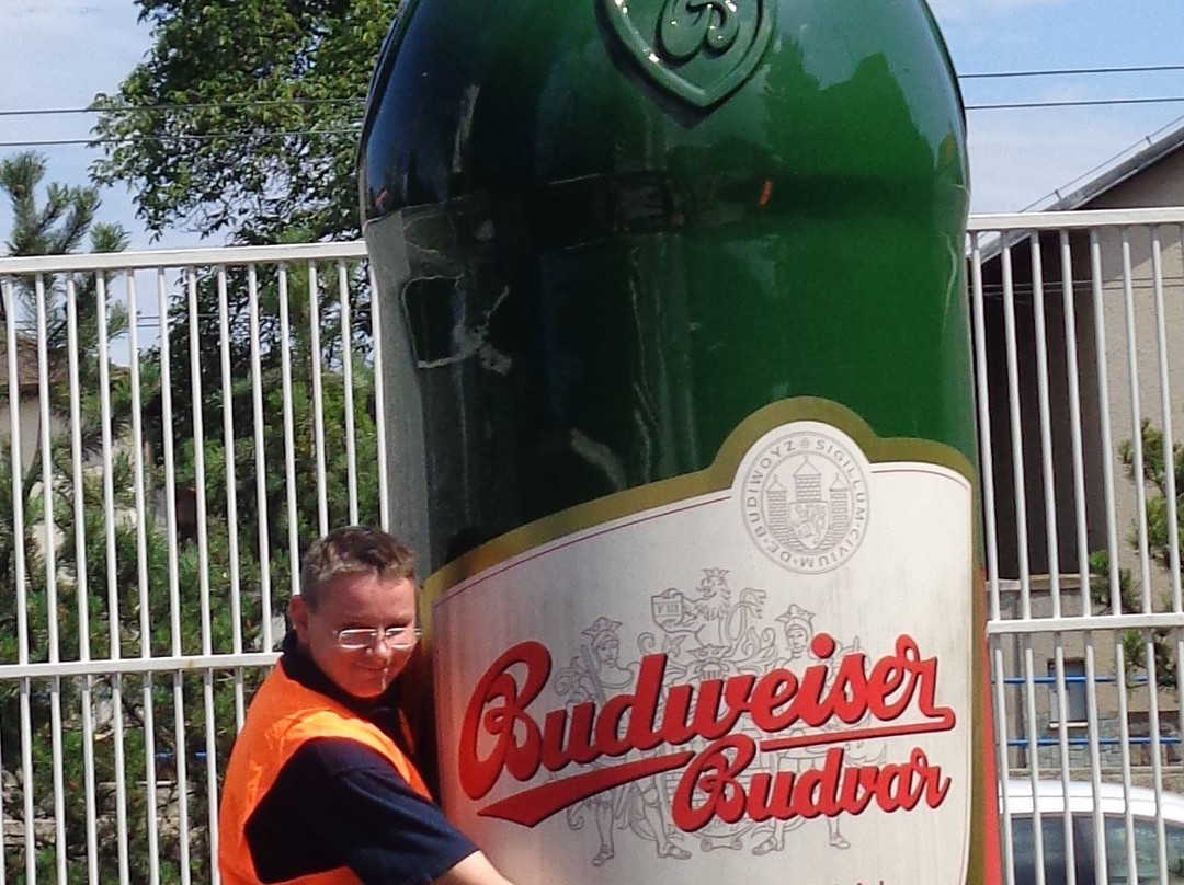 Budweiser Brewery (Budejovicky Budvar)景点图片