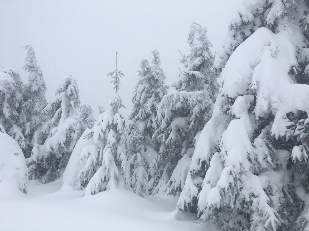 Ski areál Praděd-Mala Moravka必去景点