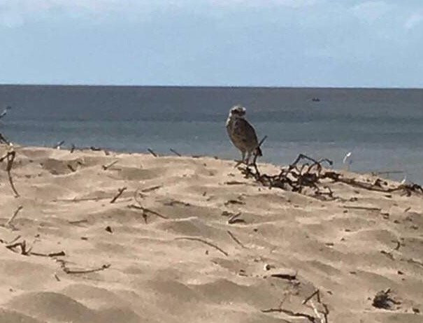 Camet Norte酒店住宿-Hotel Mirador