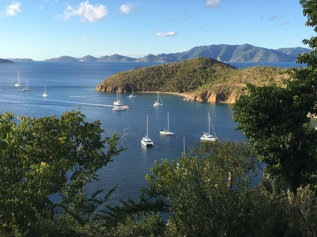 Village Cay BVI Hotel主图