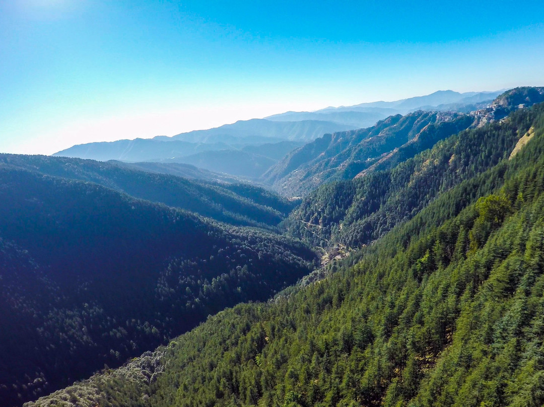 Hotel Woodrina主图