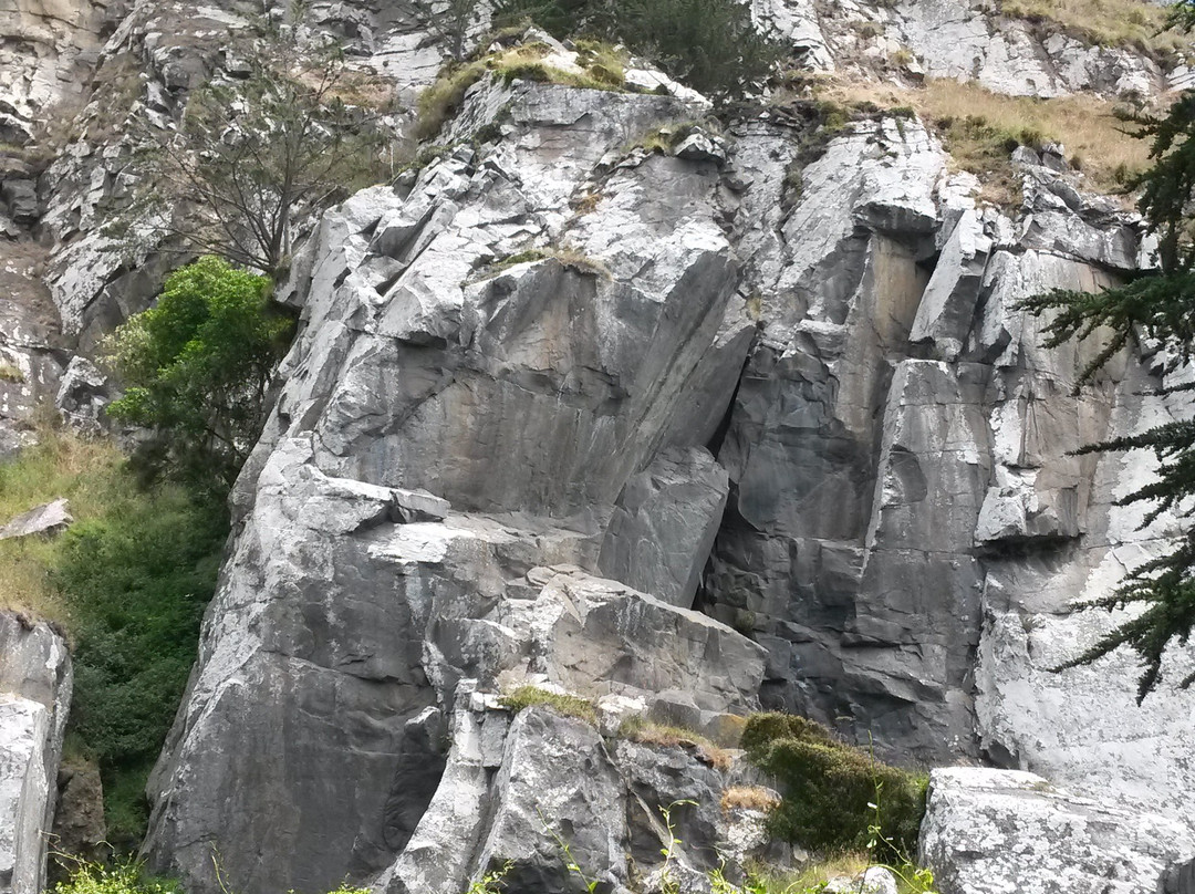 Long Beach-但尼丁必去景点
