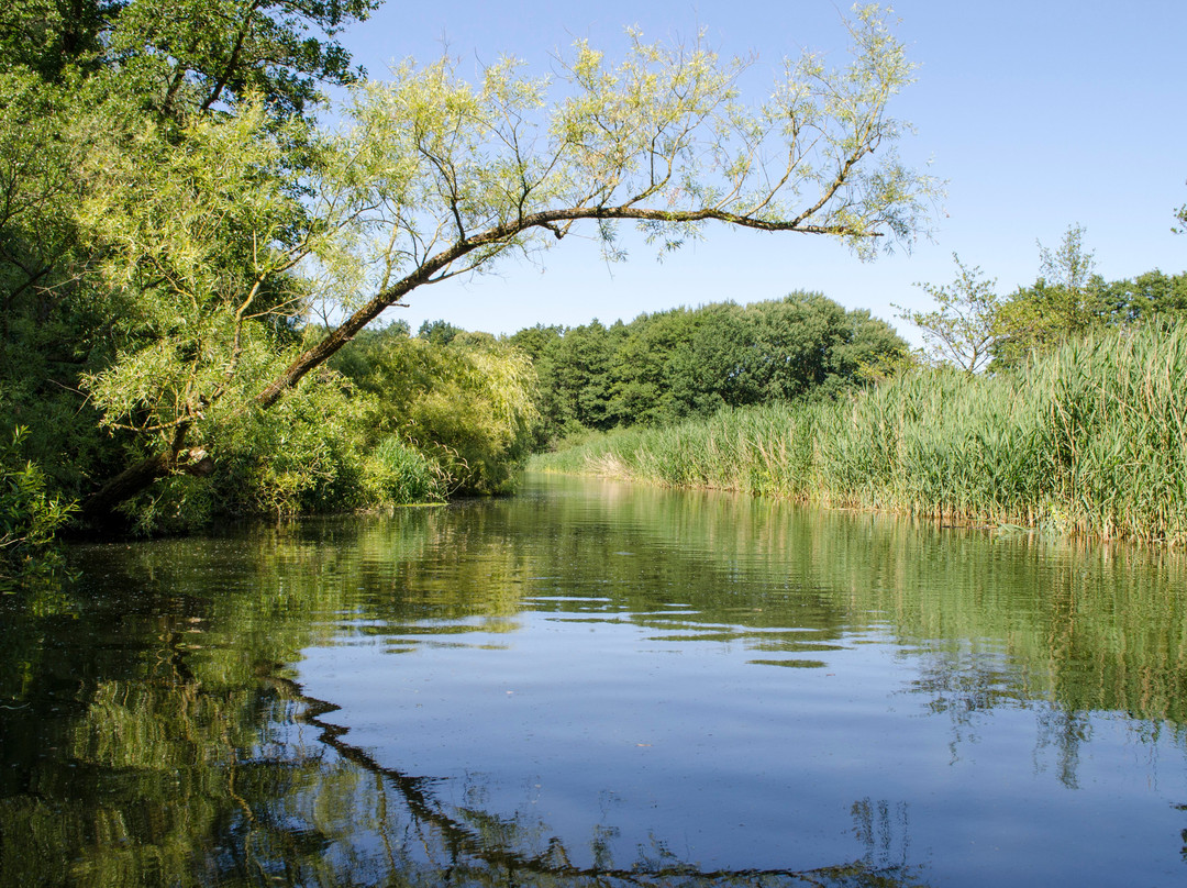 Schwentinetalfahrt-基尔必去景点