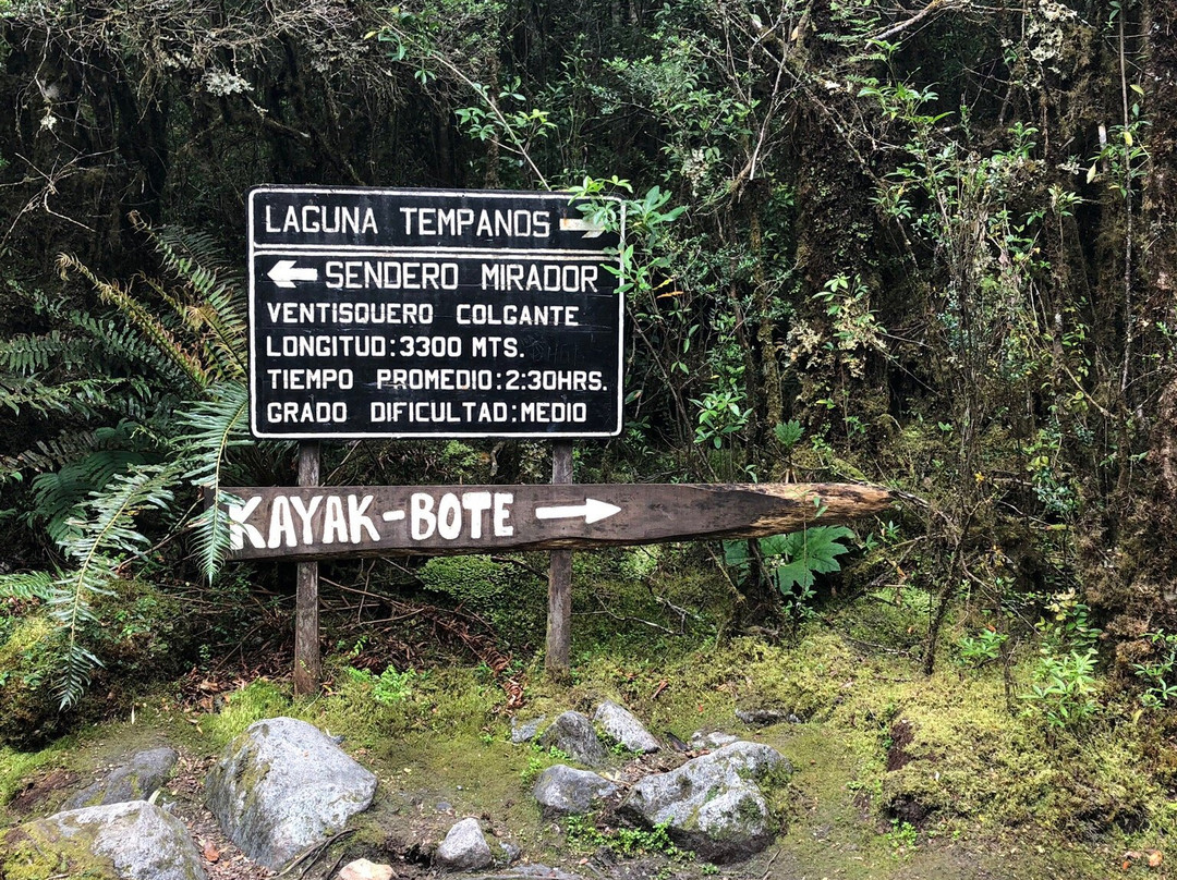 Queulat National Park-Aisen Region必去景点