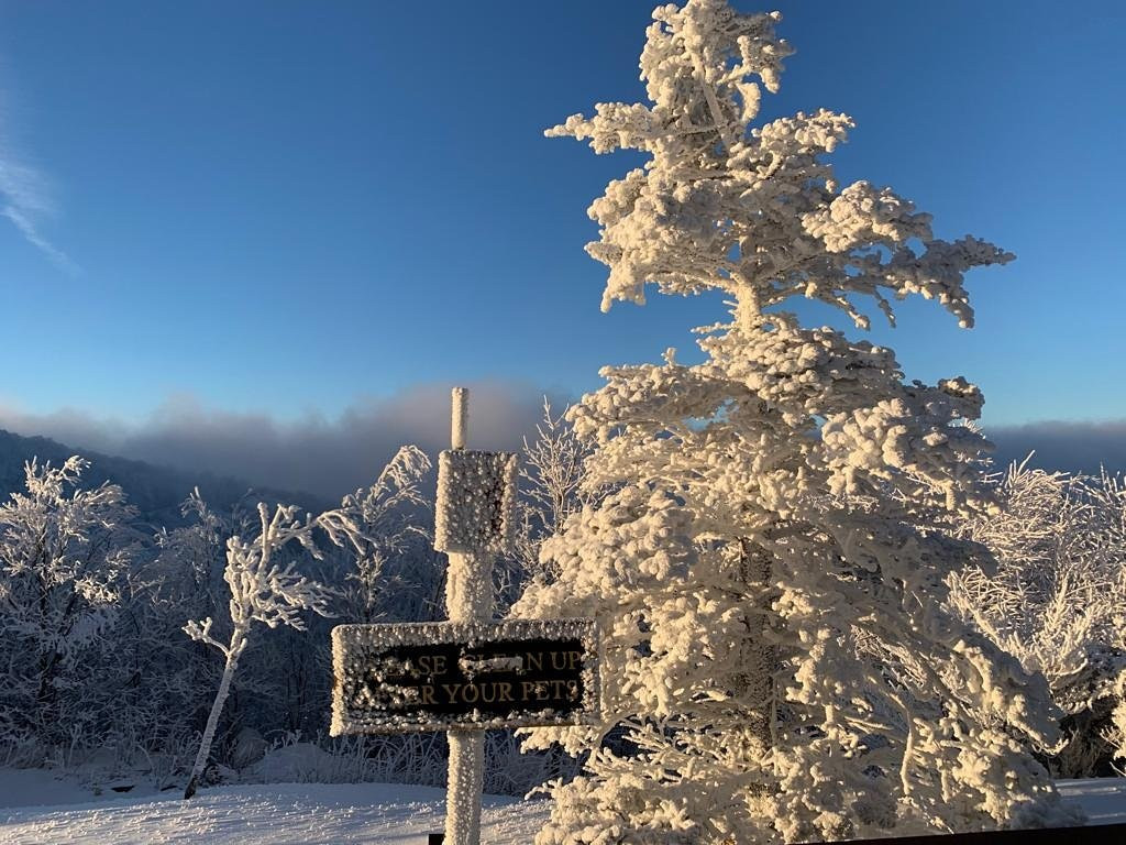 Ski Country Sports-Banner Elk必去景点