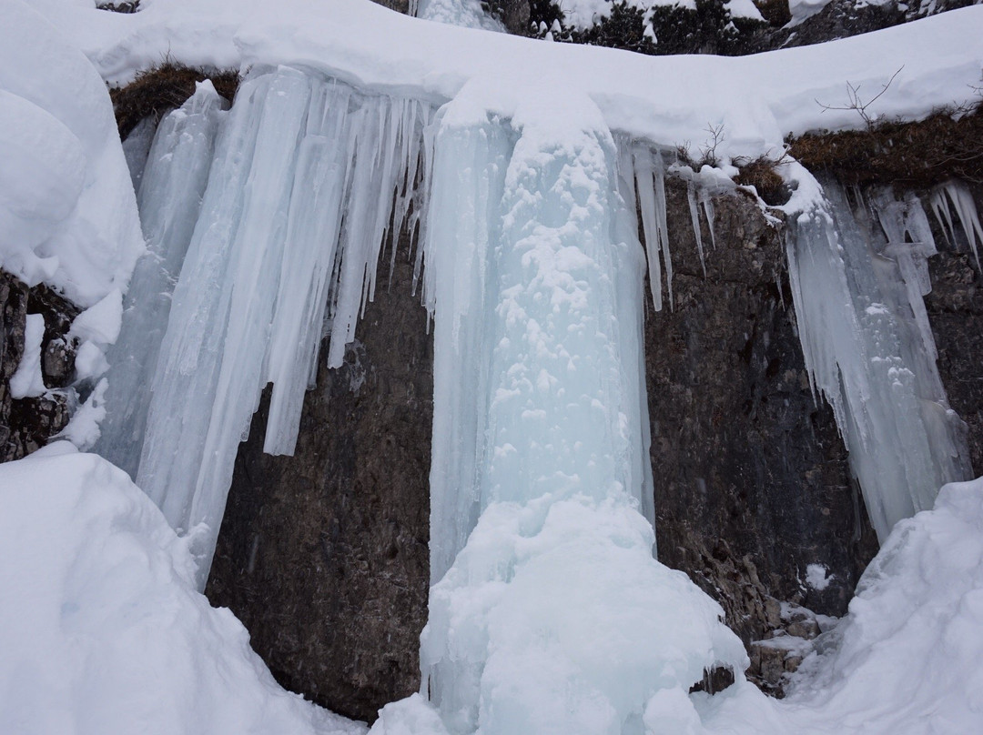 Hotel Eschenhof主图