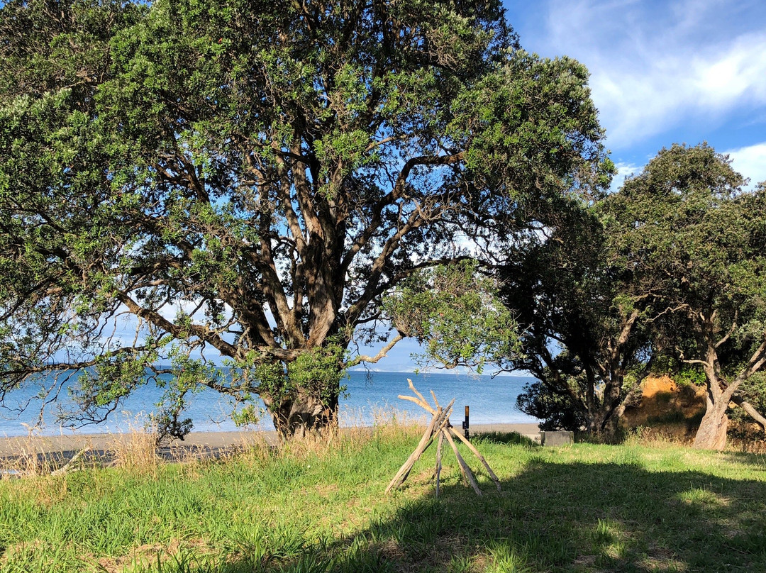 Tawhitokino Regional Park-奥克兰必去景点