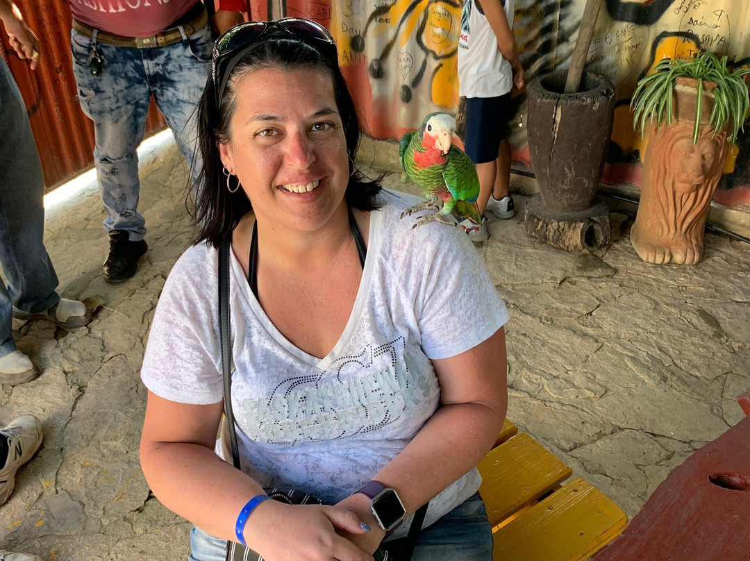 Villa Don Koki主图