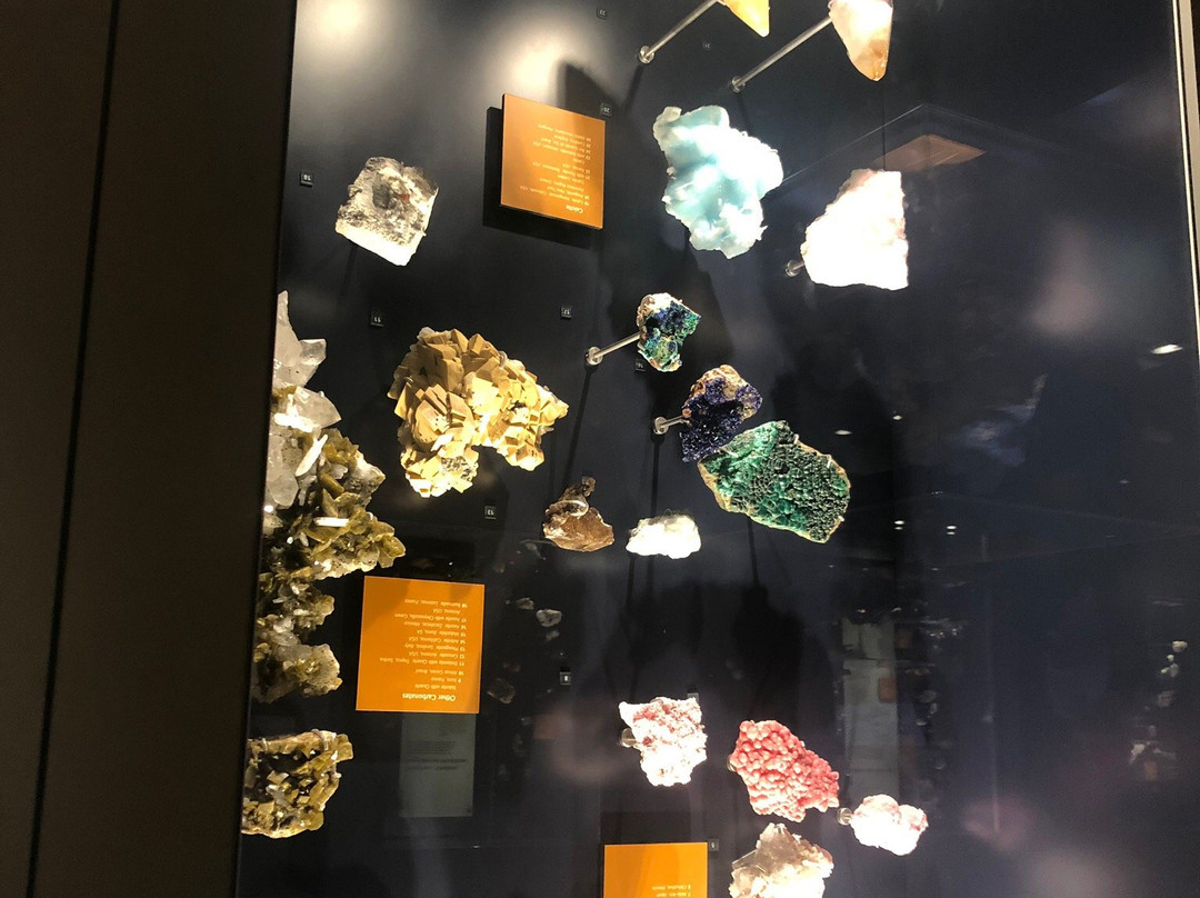 Australian Fossil and Mineral Museum景点图片