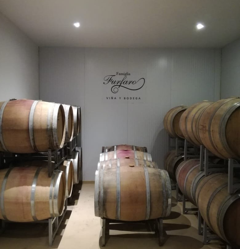 Bodega Furfaro景点图片