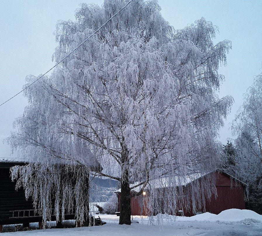 Mjondalen旅游攻略图片