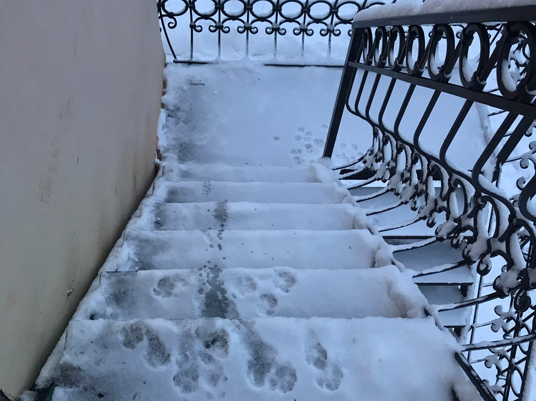 Roza Vetrov Guesthouse主图