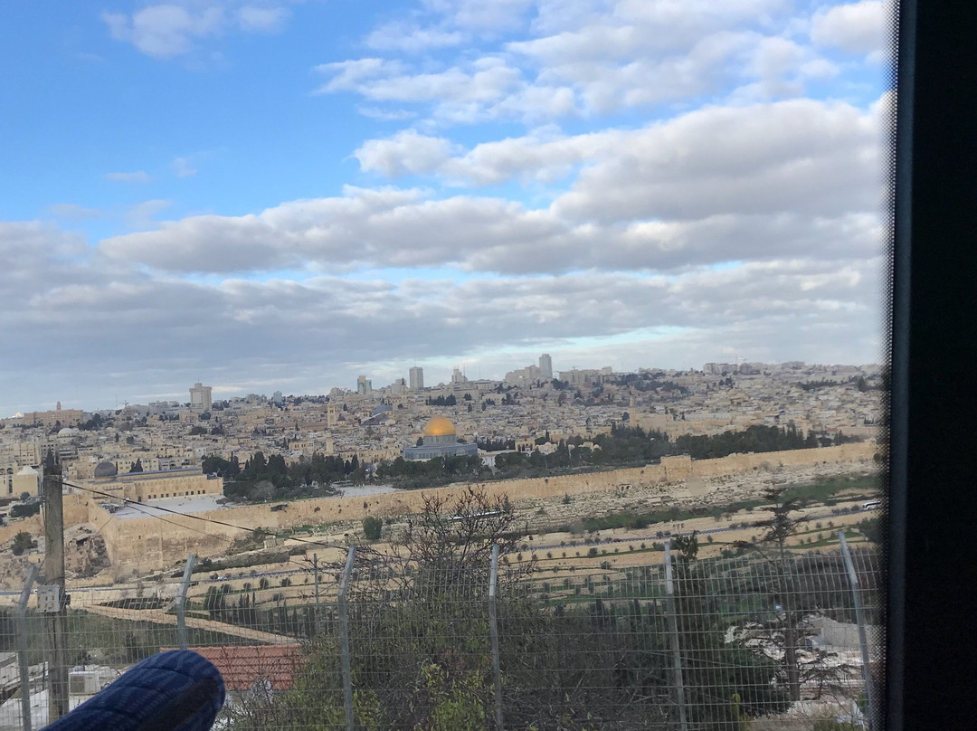 橄榄山酒店主图