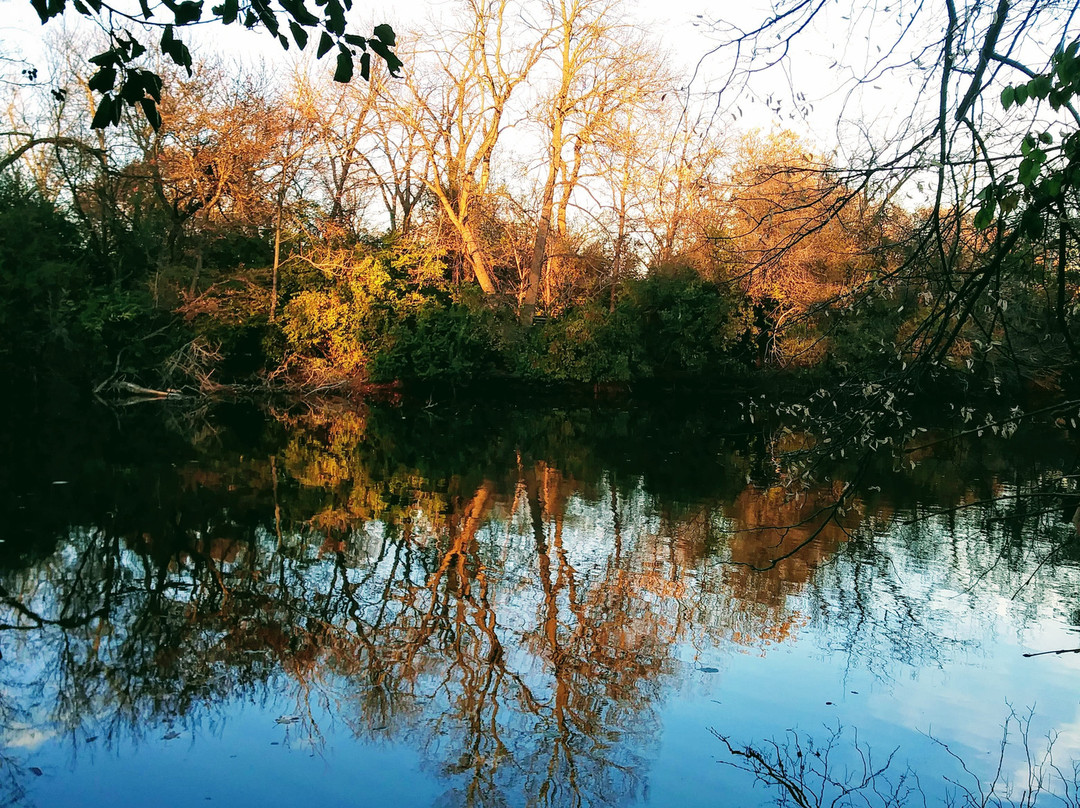 Crystal Lake Park - Lake House-厄巴纳必去景点