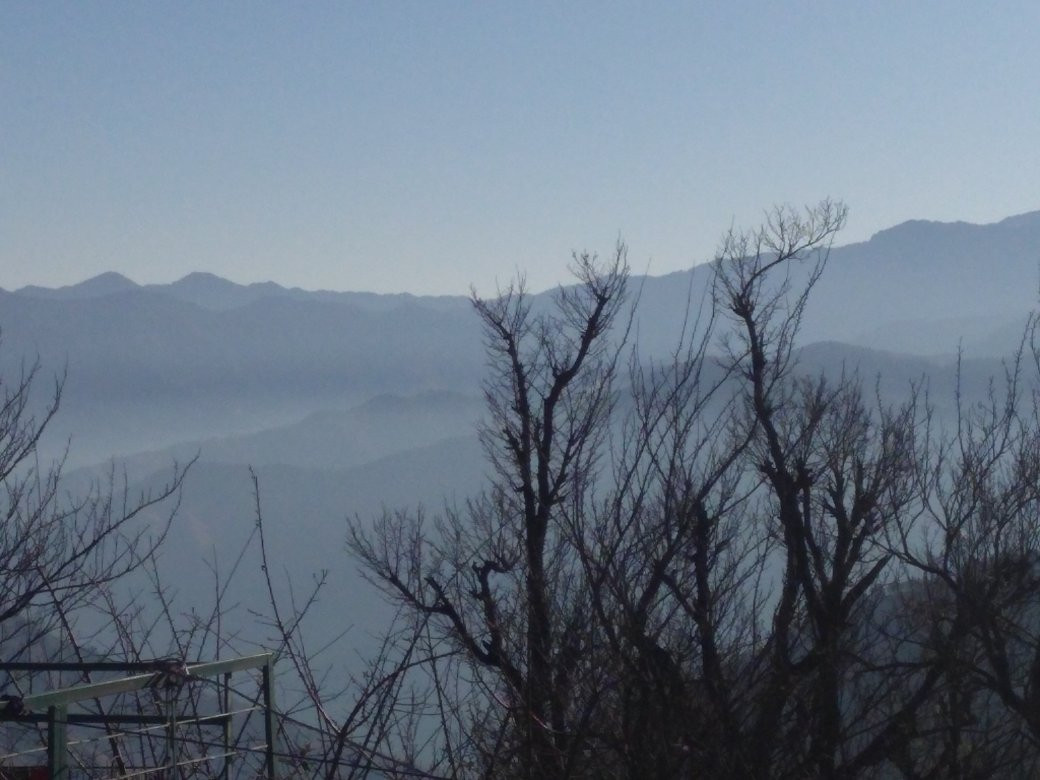 Chail Wildlife Sanctuary-Chail必去景点