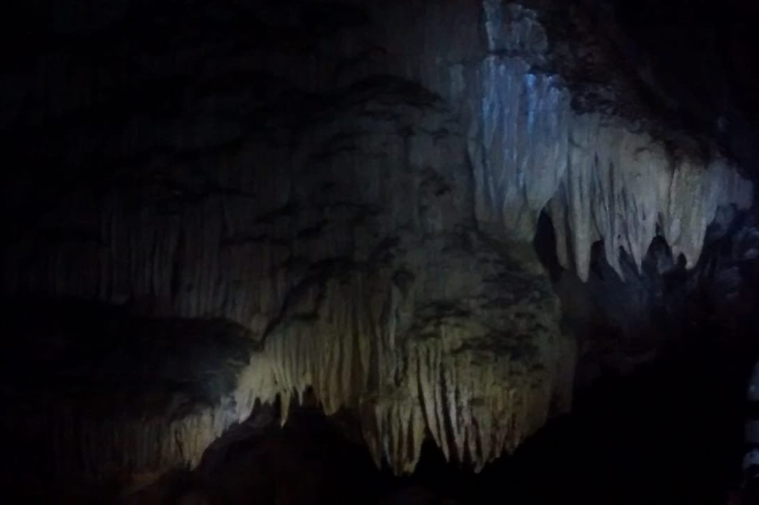 Parque Estadual Turistico do Alto Ribeira景点图片