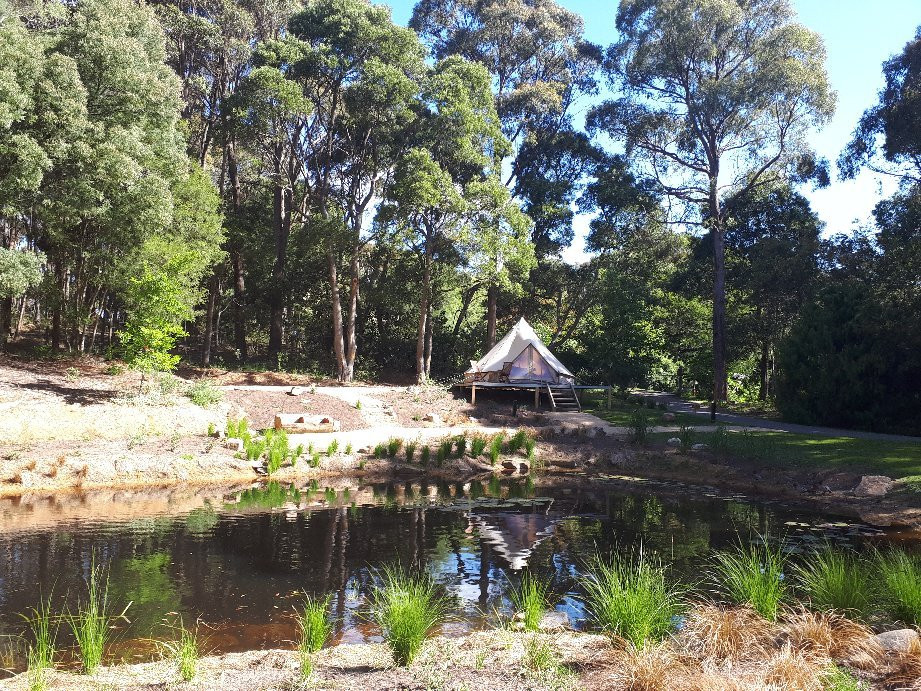 Garden Beds Glamping