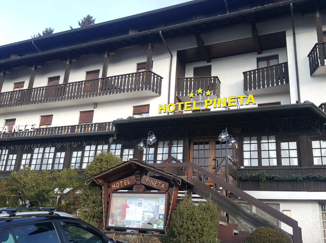 Hotel Pineta主图