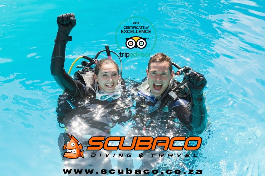 ScubaCo Diving & Travel景点图片